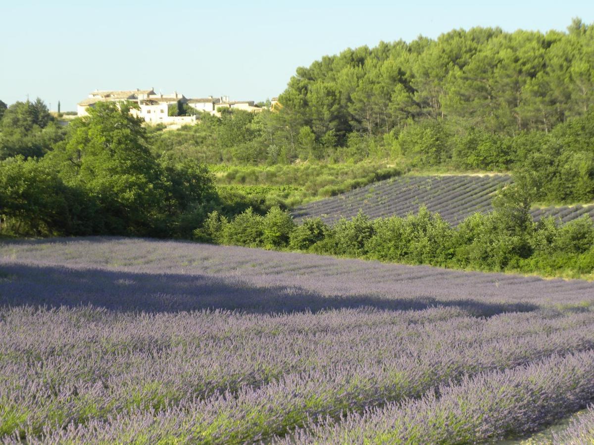 Les Vallons Holiday Home Lioux Exterior foto